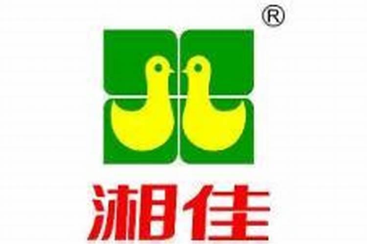 湘佳股份是做什么的