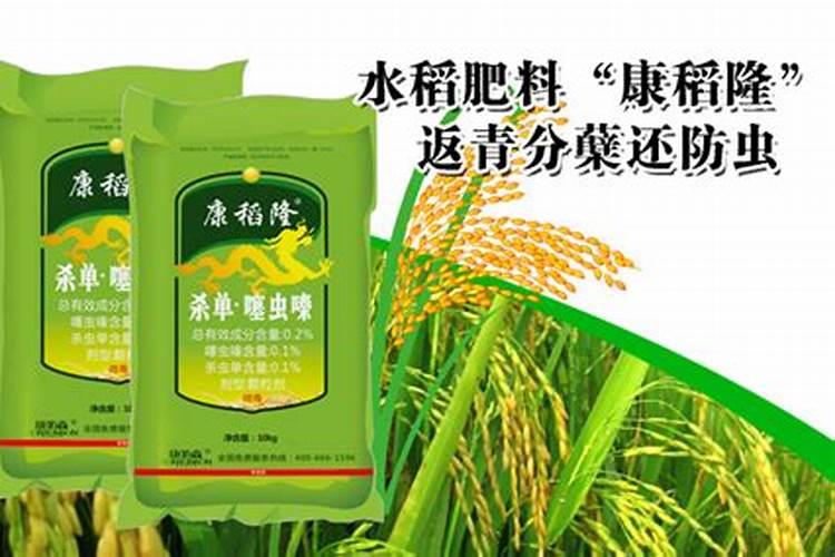 黑龙江水稻最大批发市场在哪里？