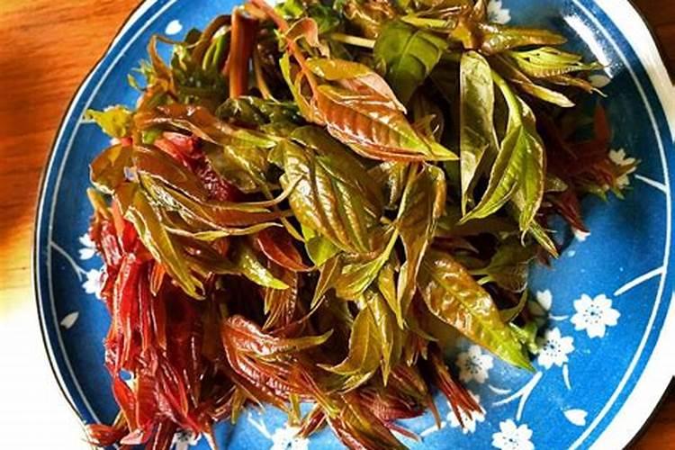 果树施肥方法