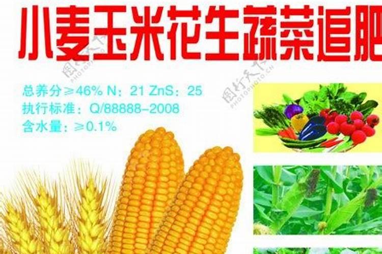 刚移栽的草莓苗都蔫了怎么办要怎么拯救