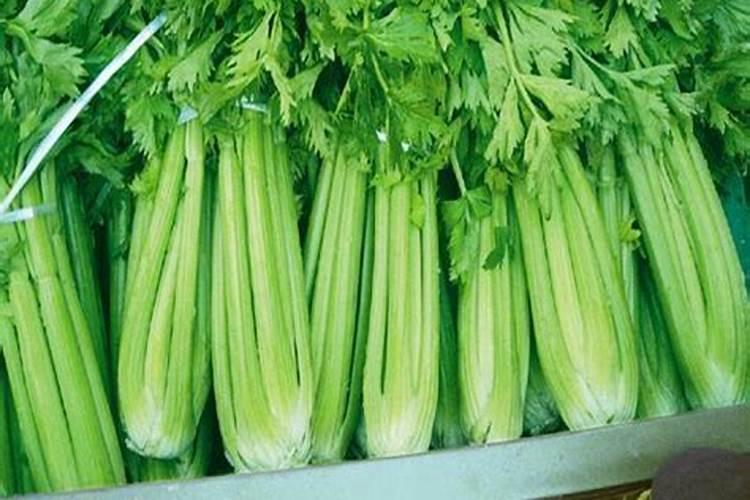 白兰花可以用复合肥吗