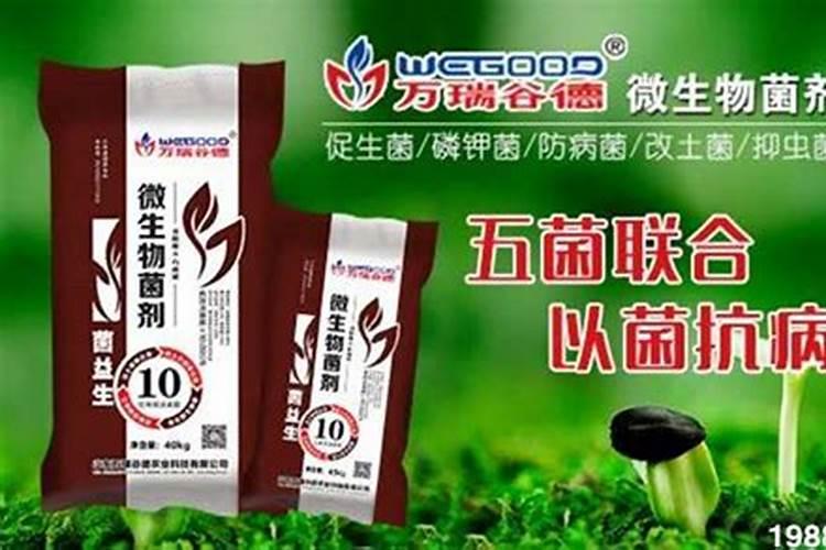 腐殖酸类肥料属于有机肥吗？怎么使用？有哪些注意事项？