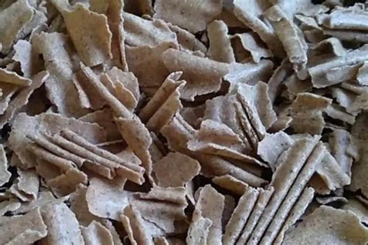 氮肥为主的有机肥是什么肥料