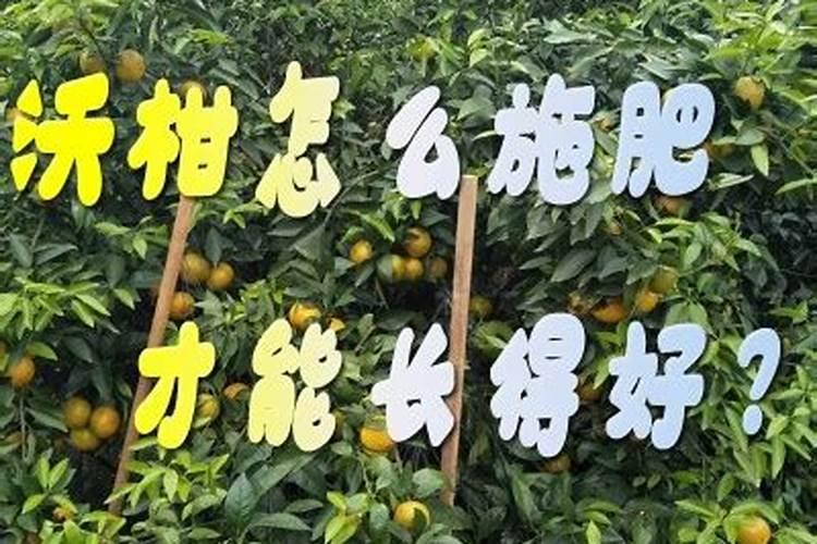 葡萄补钙最佳时间(给葡萄补钙季节什么钙肥最好)