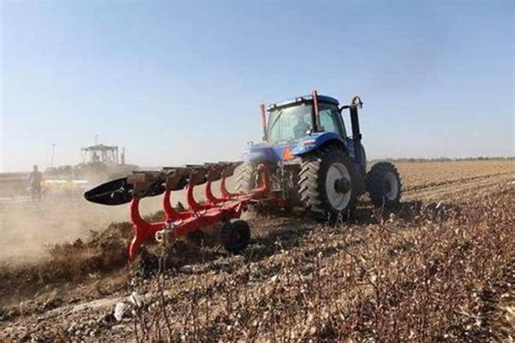 苹果树追肥用什么肥料好