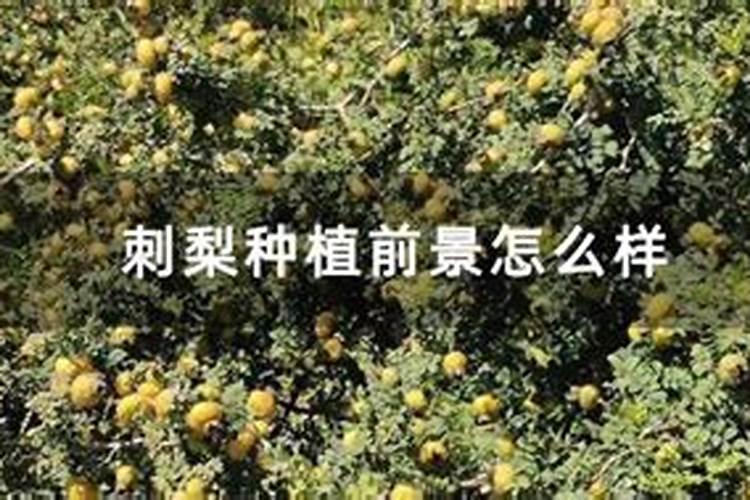 碳酸氢铵兑水比例