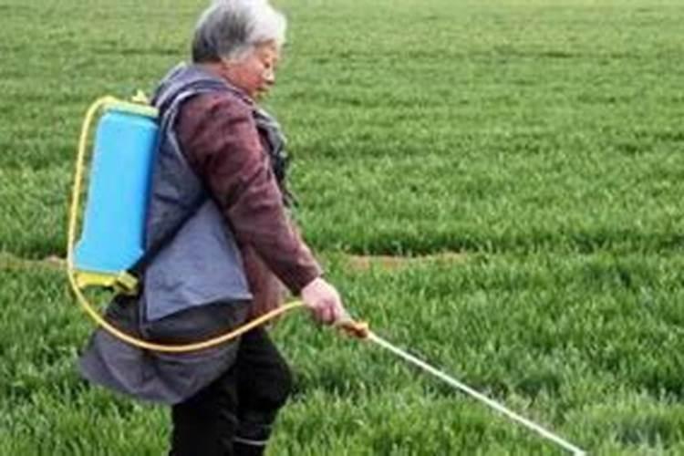 小雨可以撒施冲施肥吗