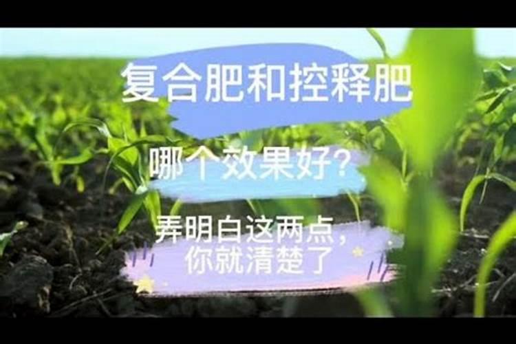 叶面肥加什么浇花最好用