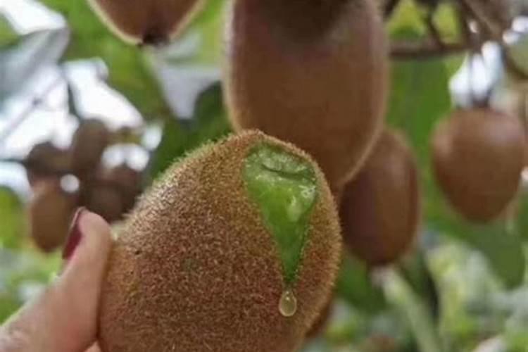 硫化钾属于第几类危险品？