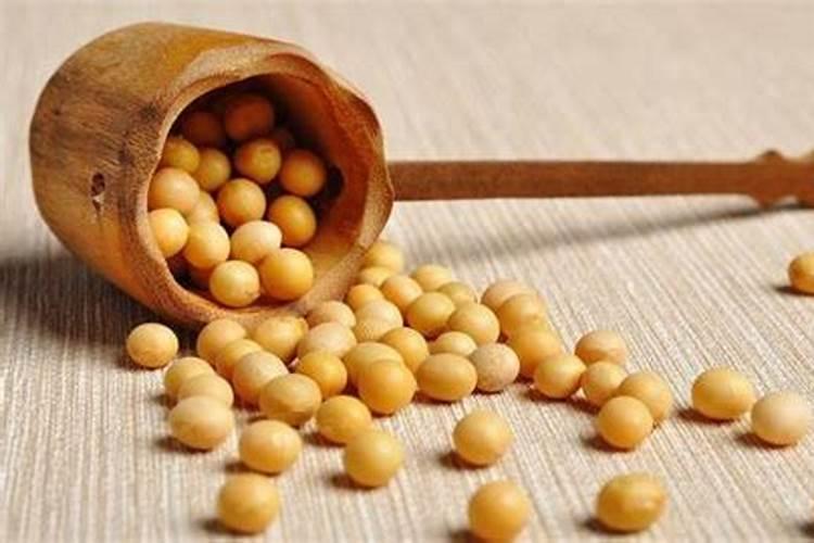 生黄豆做肥料最佳最简单方法