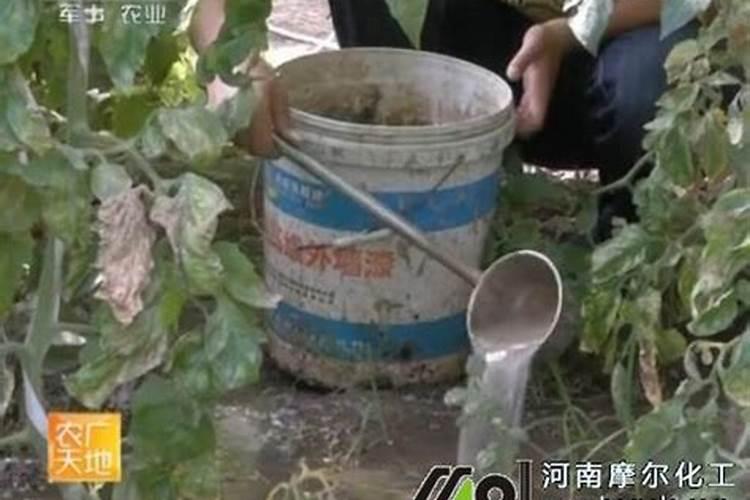 微量元素到底该不该查,婴儿查微量元素有必要吗