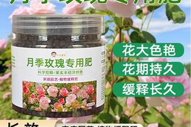 硼肥的正确使用方法