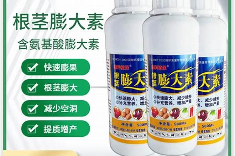 硼肥和膨大素有什么区别