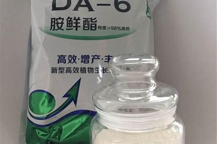 大蒜膨大素怎么用