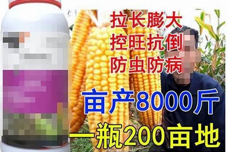 硼肥和膨大素有什么区别