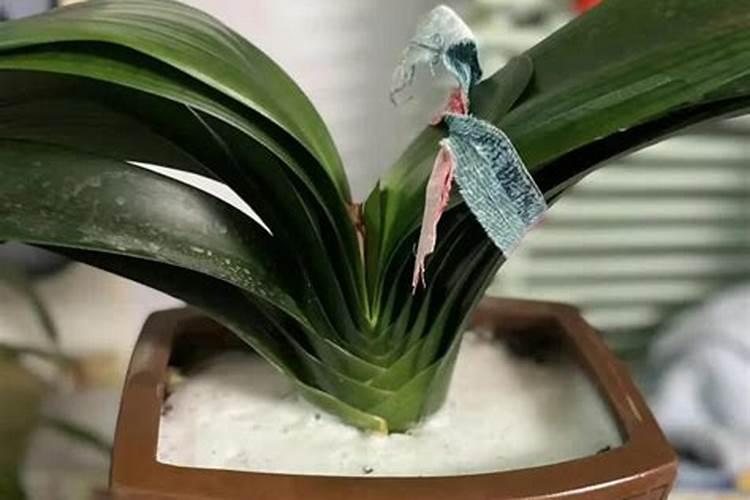 哪里可以团购济南特产？济南特产木鱼石杯子专卖