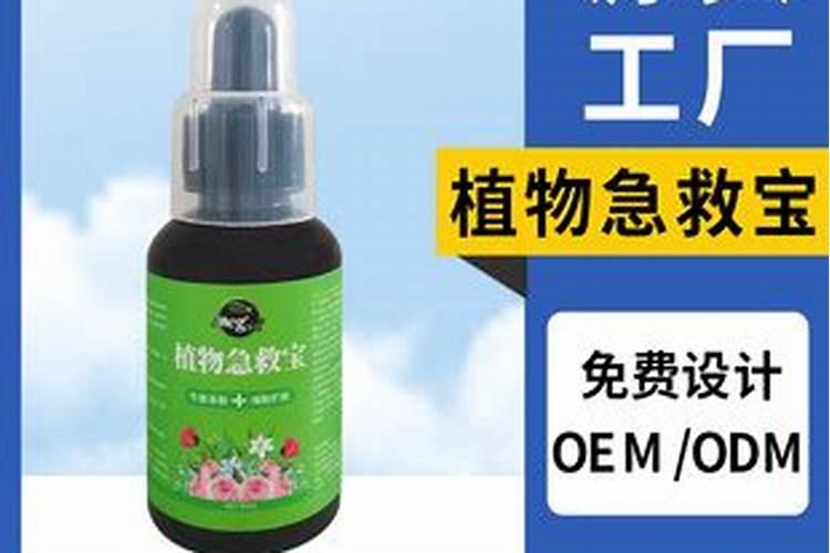 小麦播种太深有什么补救措施？