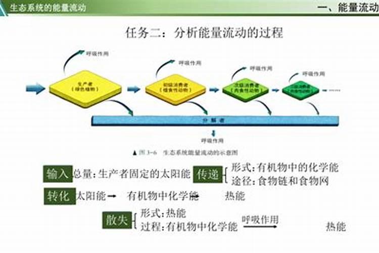 西洋杜鹃花如何养护？