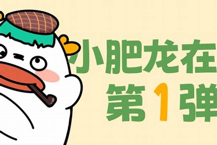 南阳小肥龙教育电商运营好学吗