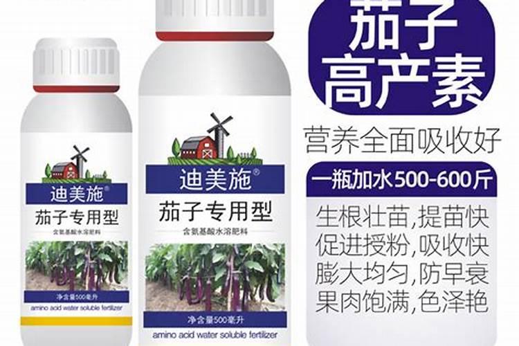 茄子种植什么时候好？叶面肥防病用什么好