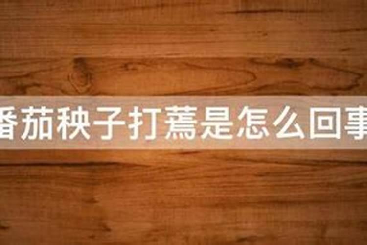 西红柿苗打蔫了,颜色还挺新鲜的是什么病啊？有什么预防药啊