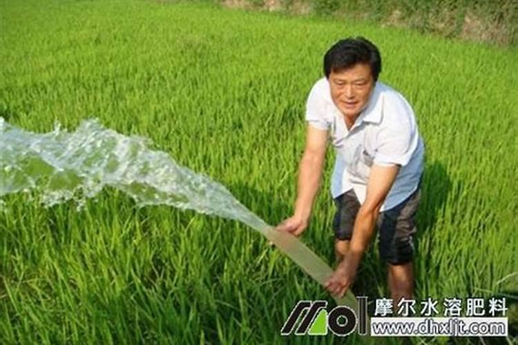 施肥多久下雨才有效