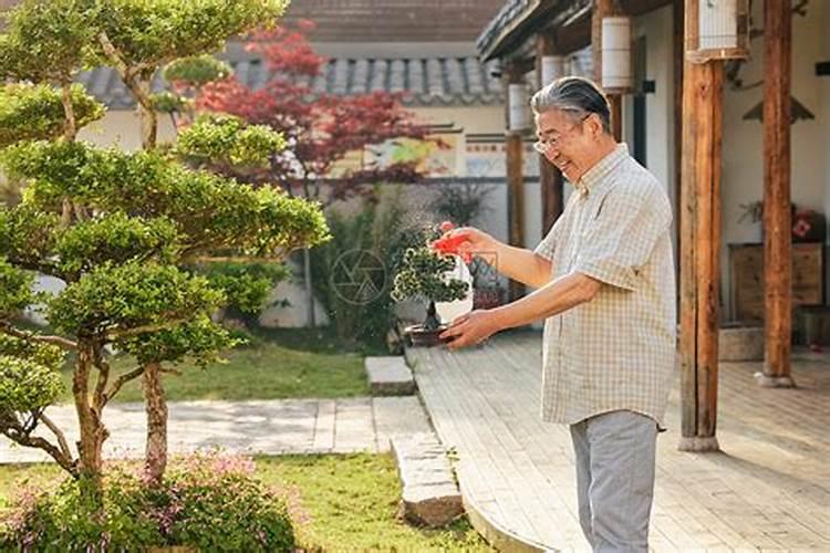 复合肥能泡水浇花吗,和直接放哪个好