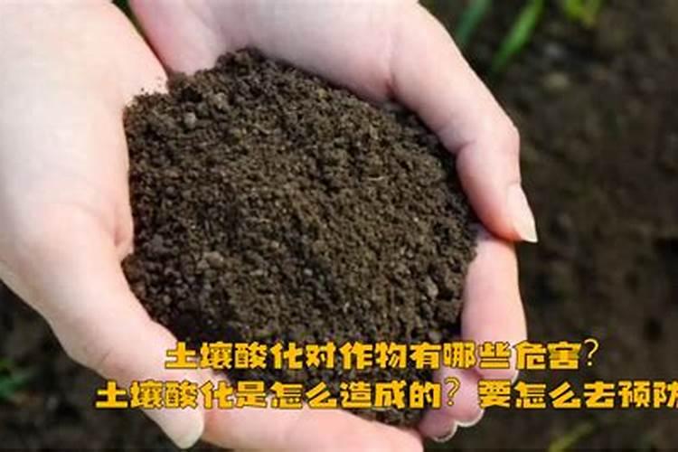 肥料氨基酸的功效与作用