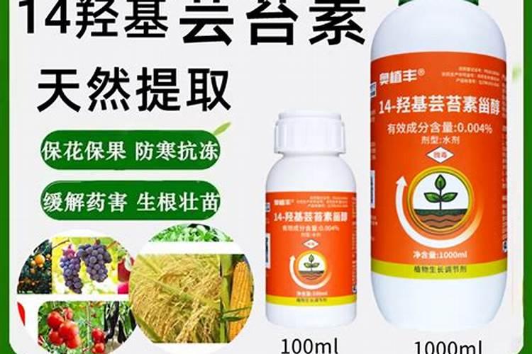 芸苔素的效果是什么？应该如何使用？