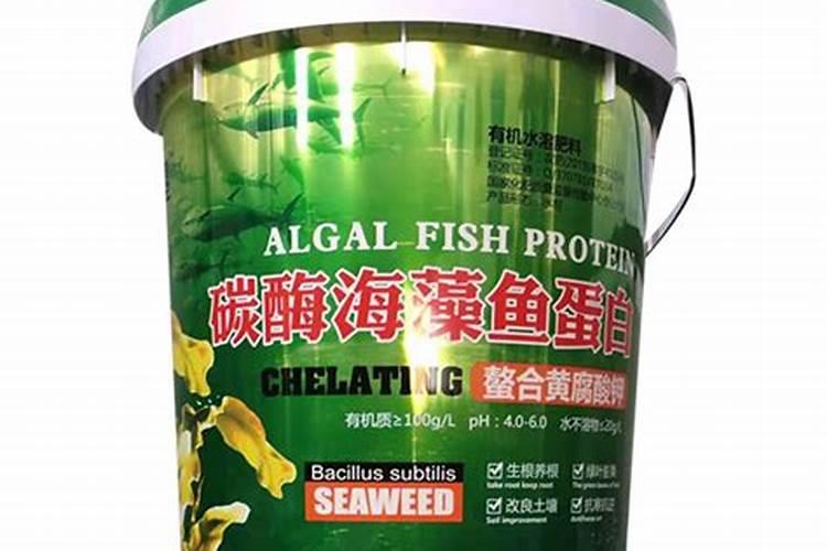 碳酶海藻鱼蛋白什么时候使用最好