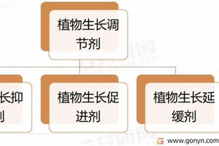 生物有机肥哪家好