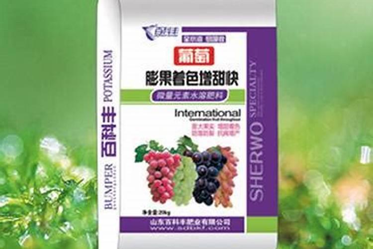 膨果最快的水肥管理方法
