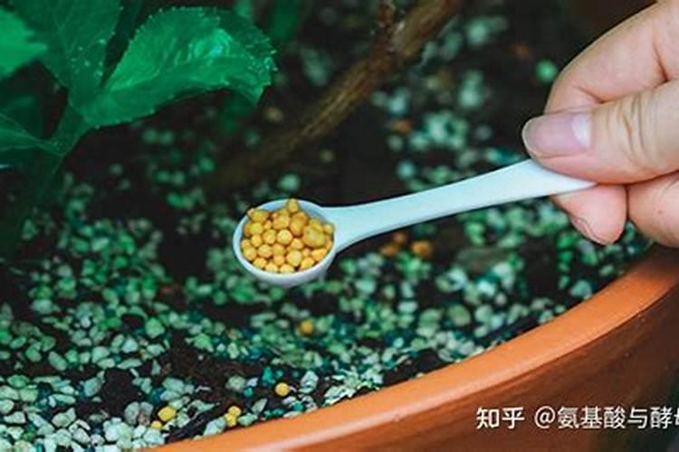 杭州绿叶科技有限公司企业简介