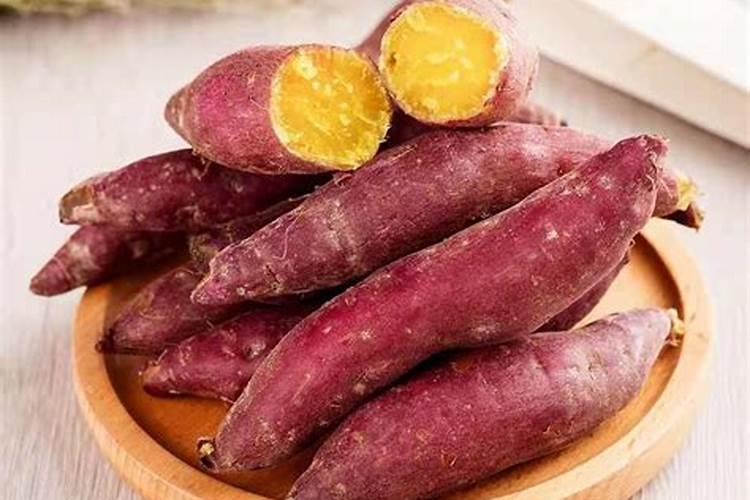 种植小香薯温州地区可以种吗