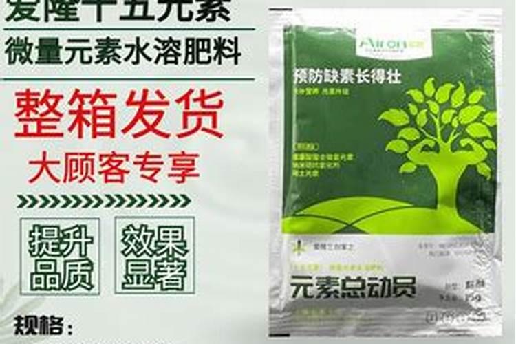 圆青椒最简单三个做法