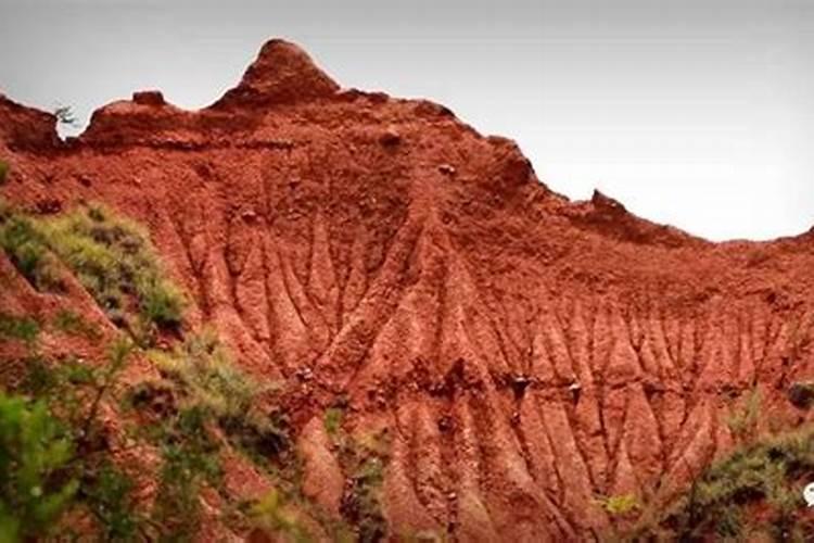 红薯香甜可口,为什么种植的时候不能多施氮肥呢？