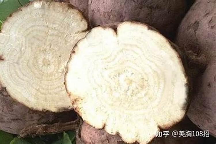 辣椒苗种下后,怎么施肥与浇水