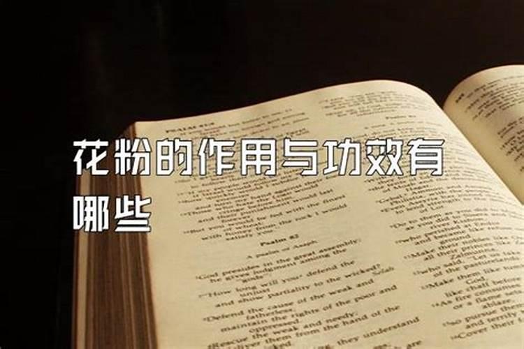 月季树如何养