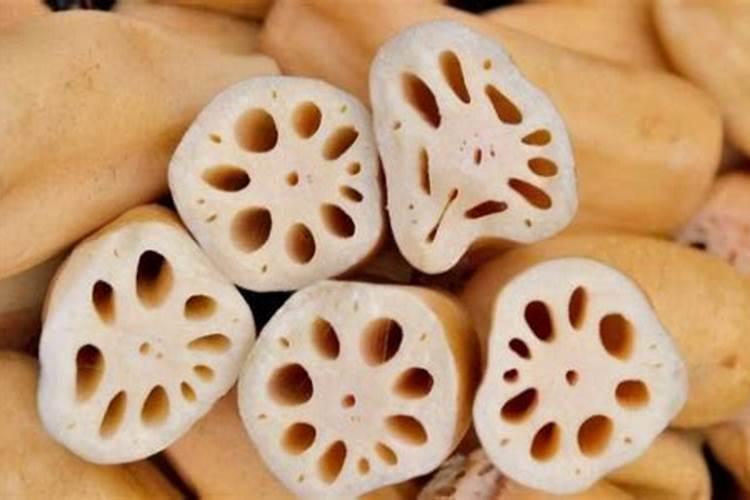 改良土壤的方案需要的材料和依据的科学知识和改良土壤的思路和方法有...