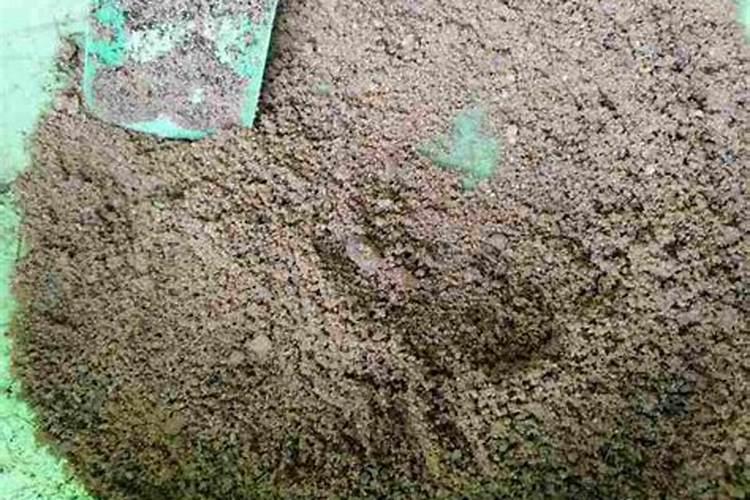 家庭种菜养花的种植土和营养土最全攻略