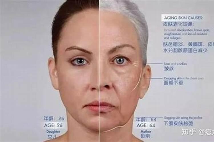 芸苔素内酯可以跟高甲叶面肥一起用吗