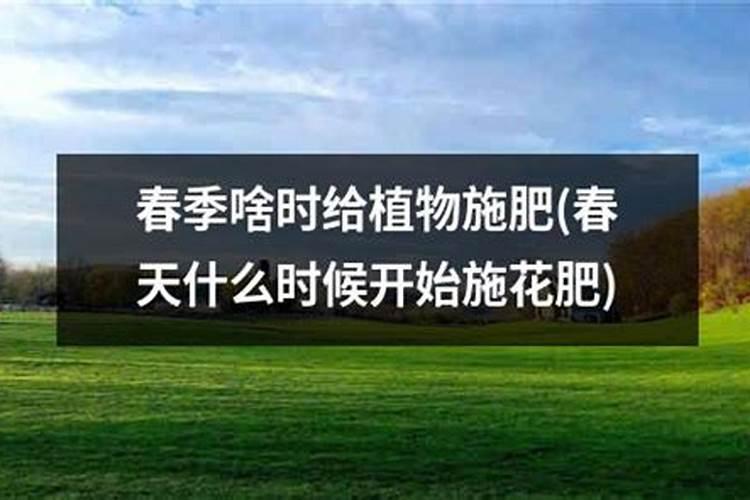 栀子花可以用复合肥吗