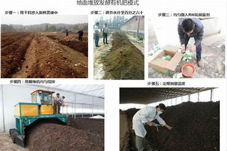 自己做植物肥料(自制肥料养花)
