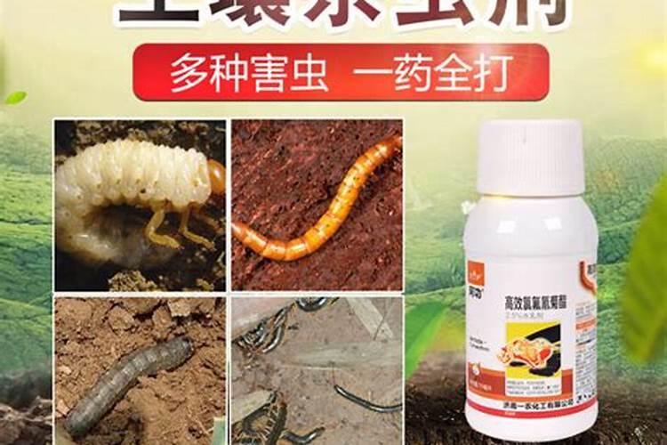 养花土里放什么能杀菌