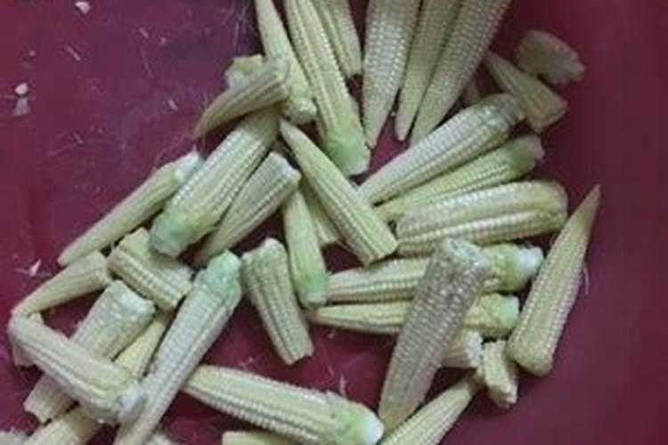 玉米芯有什么用途？