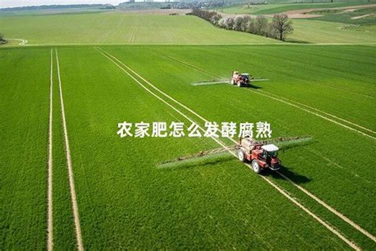 农村不起眼的商机,盘点10种致富商机