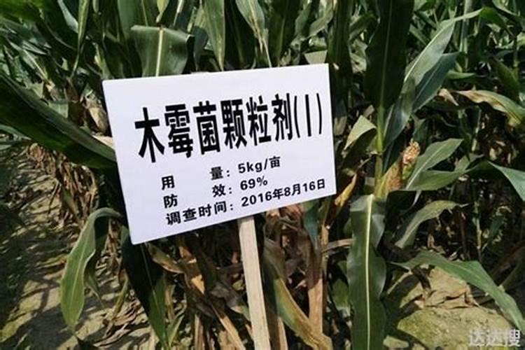 农药真菌类杀菌剂有哪些