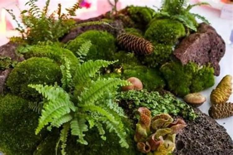 西红柿炒鸡蛋、黄花鱼、哈蜜瓜这几种食物会相克吗？