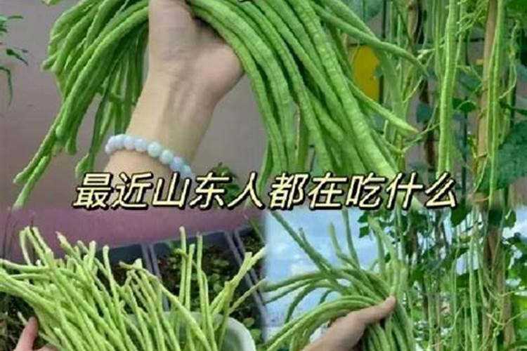 天然气能用作燃料、制合成氨所需的氢气、合成甲醇、汽油,但不能制得...