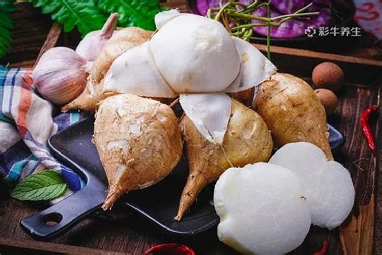 月季施什么肥开花最好